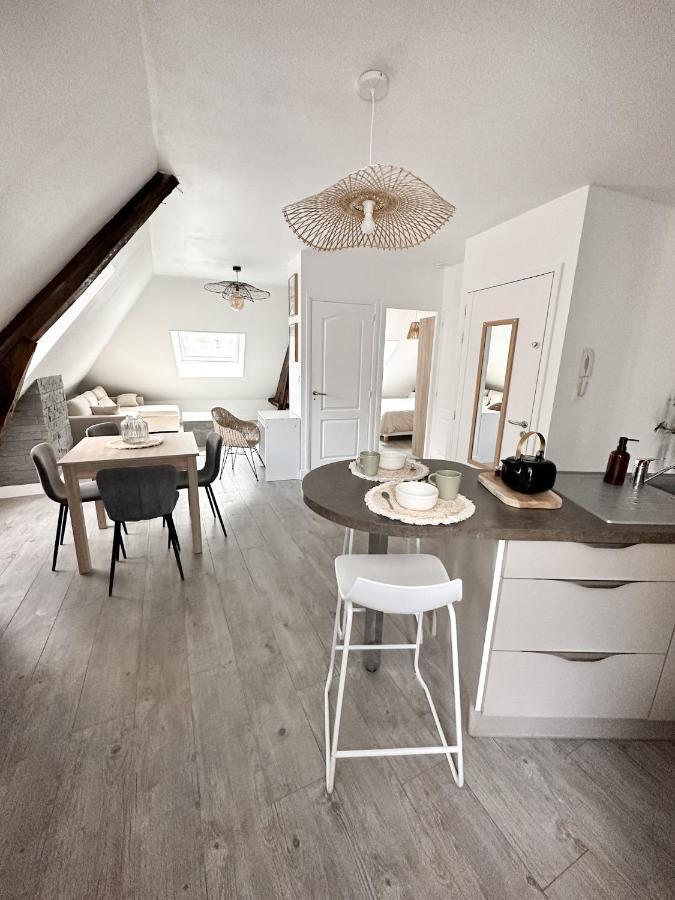 Apartment Duplex En Centre-ville *